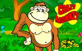 Автомат Crazy Monkey в казино Вулкан 24